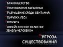 Угроза существования