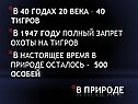 Запрет охоты на тигров