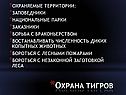 Охрана тигров