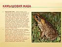 Животные Красной книги