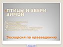 Птицы и звери зимой