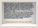 Подкормите птиц зимой