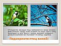 В большинстве зимующие птицы приближаются к жилью человека