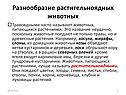 Разнообразие растительноядных животных