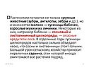 Растениями питаются не только крупные животные (зубры, антилопы, зебры