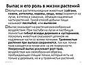 Выпас и его роль в жизни растений