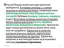 На пастбищах животные едят растения выборочно