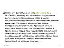 Не минует вытаптывания и тропический лес