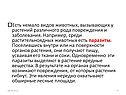 Есть немало видов животных, вызывающих у растений различного рода