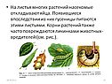 Животные и растения