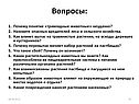 Вопросы: