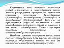 Ученые распределяют грызунов по нескольким основным подотрядам