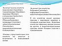 Подотряд Мышеобразные
