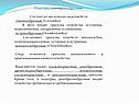 Подотряд Дикобразообразные