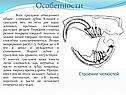 Особенности