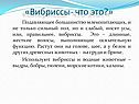 Вибриссы