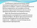 Нимб вокруг мордочки