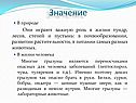 Значение