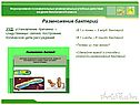 Размножение бактерий