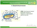 Закрепление нового