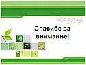 Спасибо за внимание