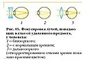 Заболевания и повреждения глаз
