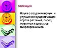 Селекция