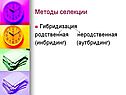 Методы селекции