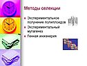 Методы селекции