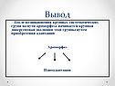 Крупная дивергентная эволюция
