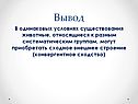 Сходное внешнее строение