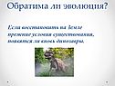 Обратима ли эволюция