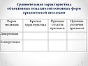 Сравнительная характеристика