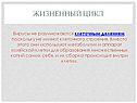 Жизненный цикл