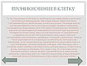 Проникновение в клетку