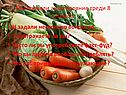 Часто ли вы употребляете фаст-фуд