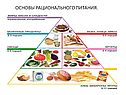 Основы рационального питания