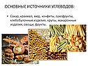 Основные источники углеводов