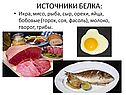Источники белка