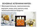 Основные источники жиров
