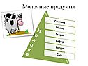 Молочные продукты