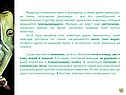 Ящерицы и черепахи, змеи и крокодилы, а также давно вымершие, но очень