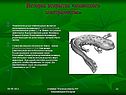 История открытия «животного электричества»