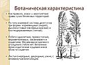 Ботаническая характеристика