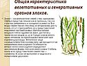 Общая характеристика