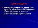Цели и задачи