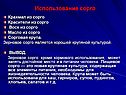 Использование сорго