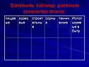 Заполнить таблицу- растения семейства злаков