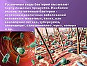 Различные виды бактерий вызывают порчу пищевых продуктов