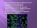 Потенциал бактерий в практическом отношении неисчерпаем